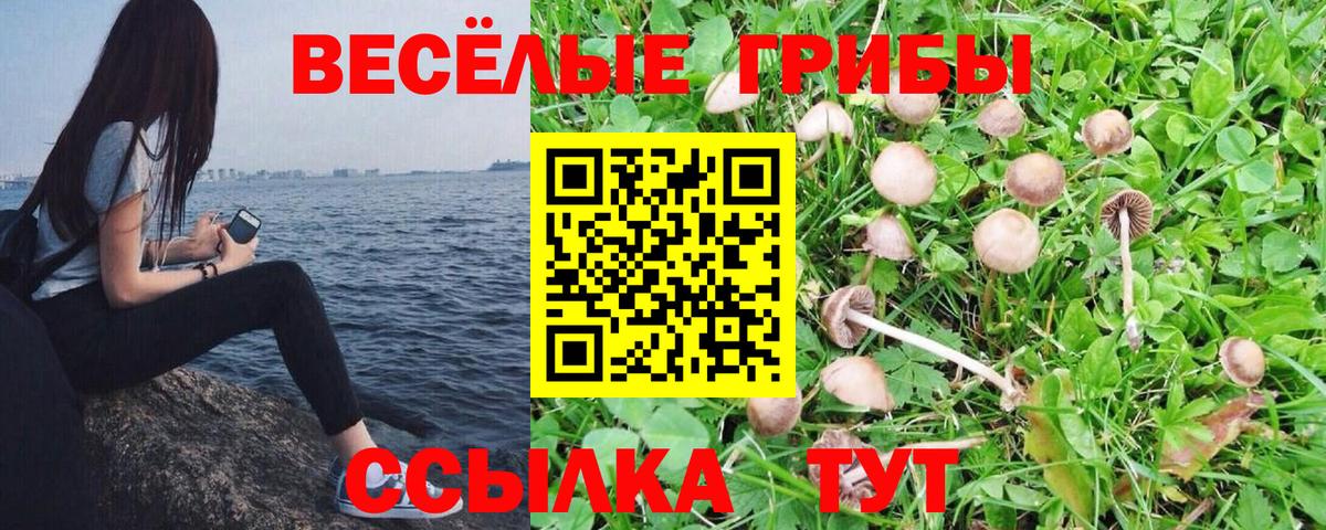 Галлюциногенные грибы прущие грибы Тара